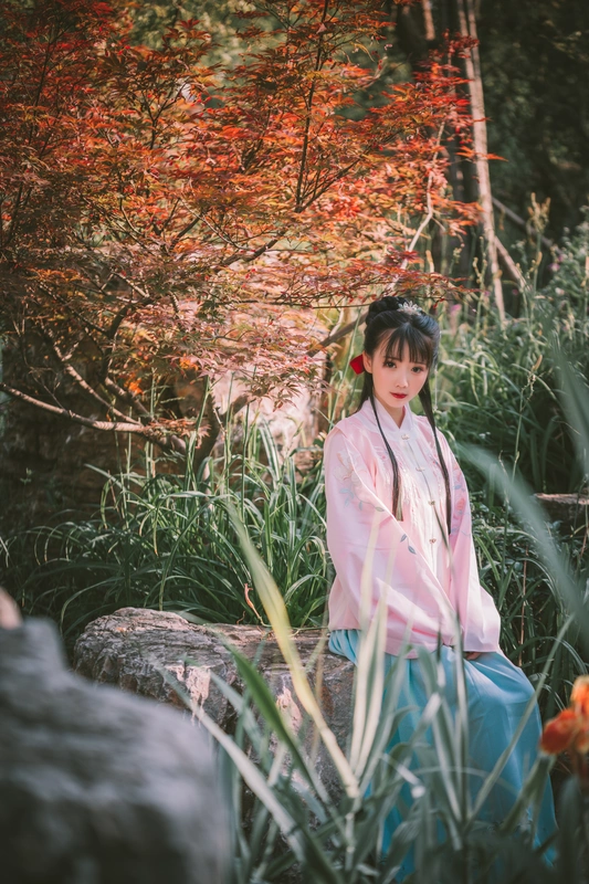 明治汉服 - 面饼仙儿